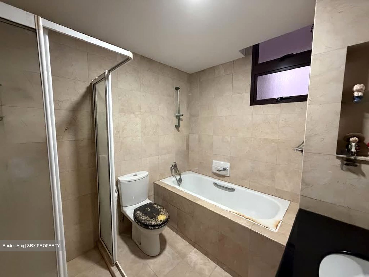 Seletaris (D27), Condominium #602179261